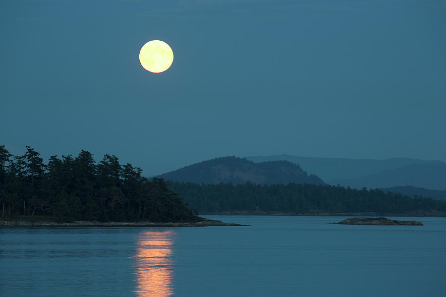 Moonrise Over Sea Photograph by Grant Faint