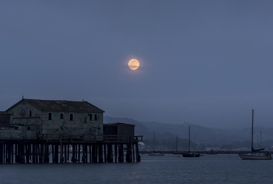 Moonrise over the Harbor Photograph by Alex Lapidus