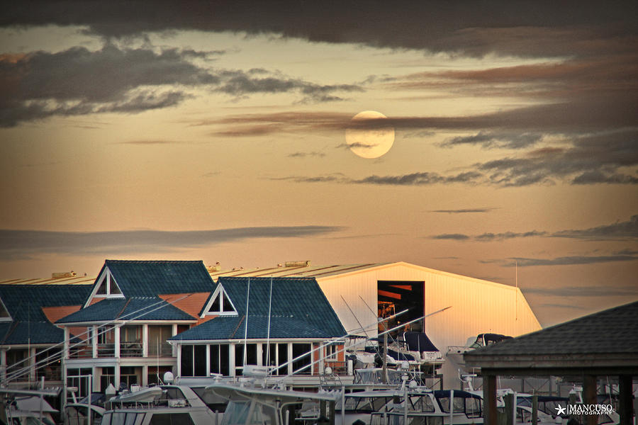 Moonrise over the ICW Photograph by Phil Mancuso
