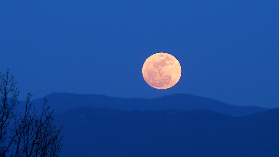 Moonrise Photograph by Pamela McCown - Fine Art America