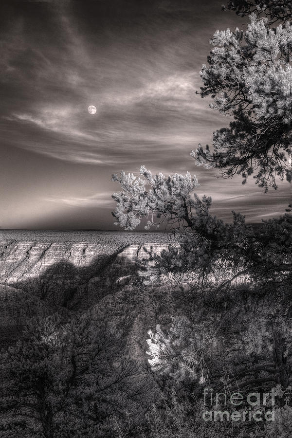 Grand Canyon National Park Digital Art - Moonrise South Rim by William Fields