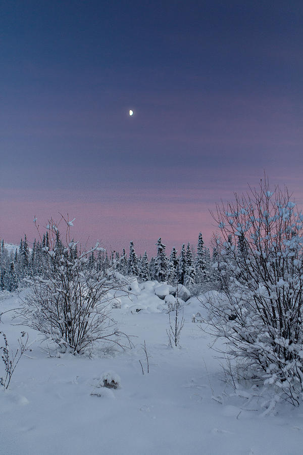 Winter Photograph - Moonrise by Valerie Pond