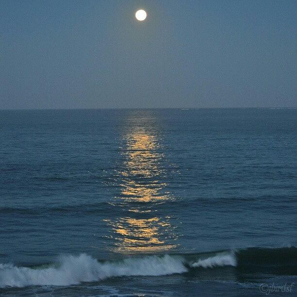 Moonset. 5:23am Today. Goodmorning Photograph by Jules S
