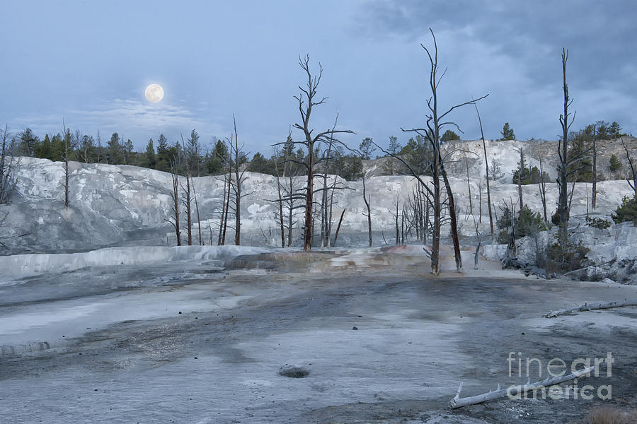 Moonset At Mammoth Terrace-Yellowstone Photograph by Sandra Bronstein