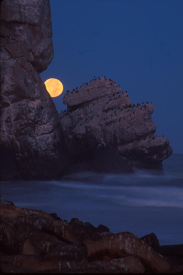Moonset at Morro Rock by Marlin Harms Photograph by California Coastal Commission