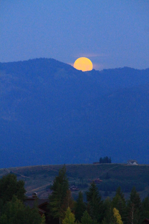 Mountain Photograph - Moonset in the Morning by Catie Canetti