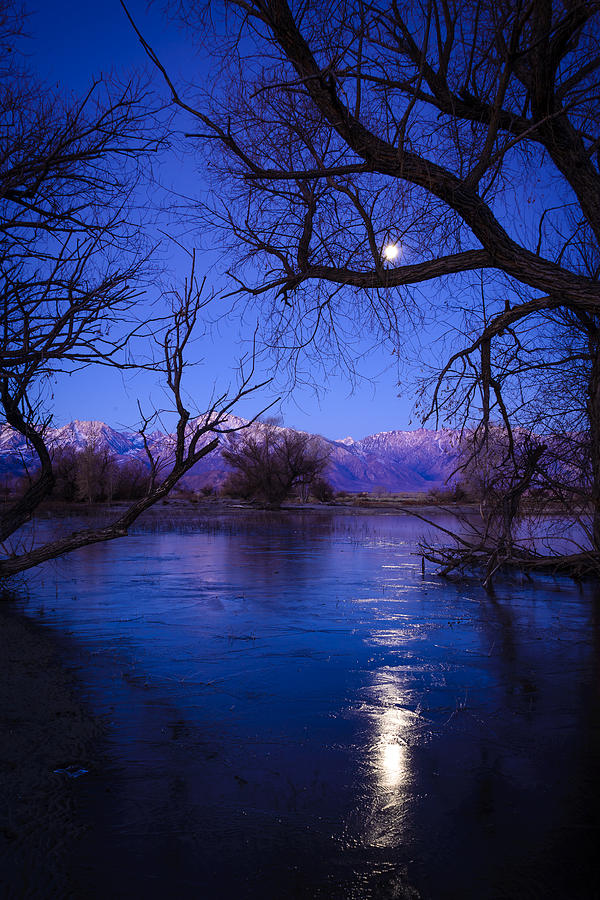 Moonset on Farmers Pond Photograph by Joe Doherty
