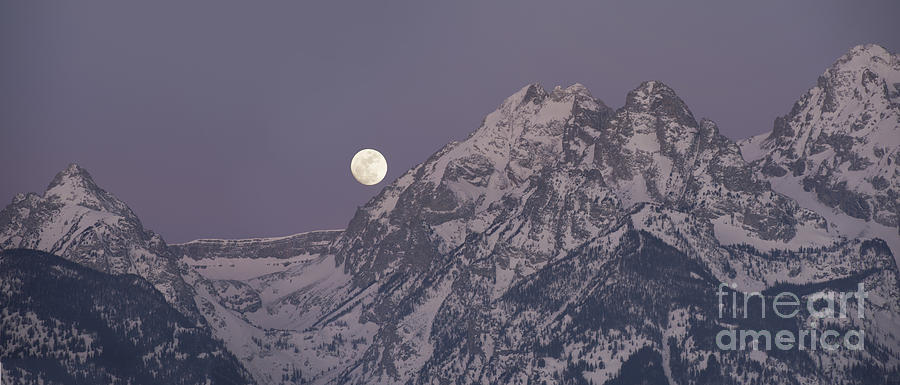 Moonset on the Grand Tetons Photograph by Sandra Bronstein