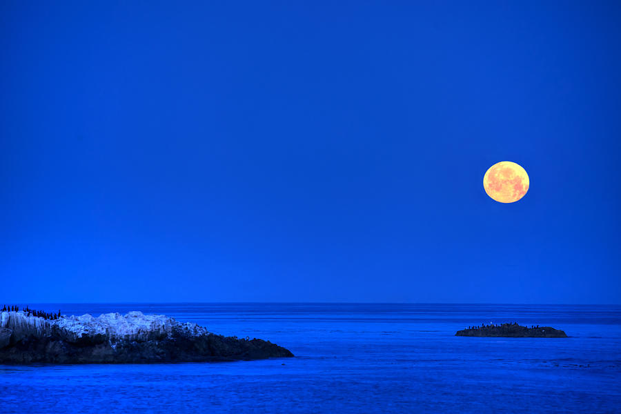 Moonset over Pacific Ocean Photograph by Cliff Wassmann