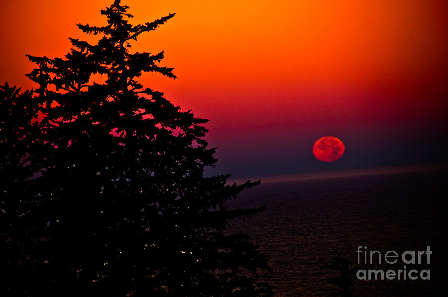 MoonSet SunRise 3 Photograph by Van Scott - Fine Art America