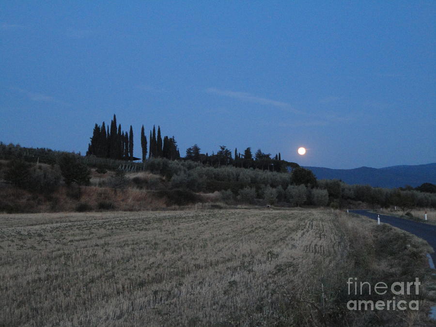 Tuscany Photograph - Moonshine In Arezzo by Alessandra Di Noto Tuscany Photograph - Moonshine In Arezzo by Alessandra Di Noto