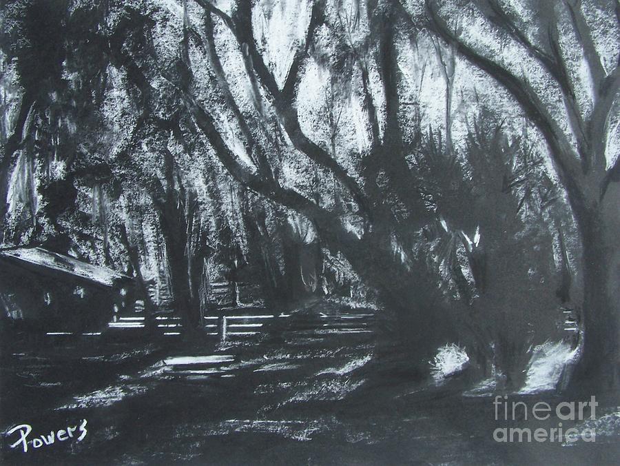 Black And White Drawing - Moonshine by Mary Lynne Powers