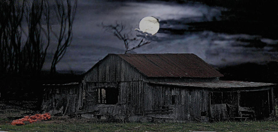 Moonshine Nights Photograph by William Griffin