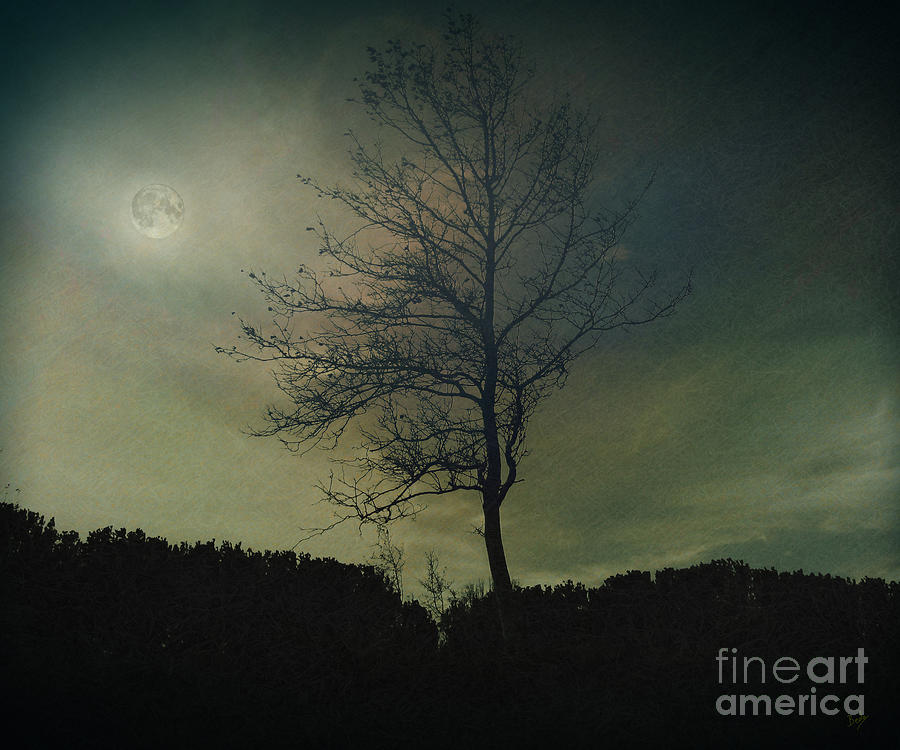 Moonspell Photograph