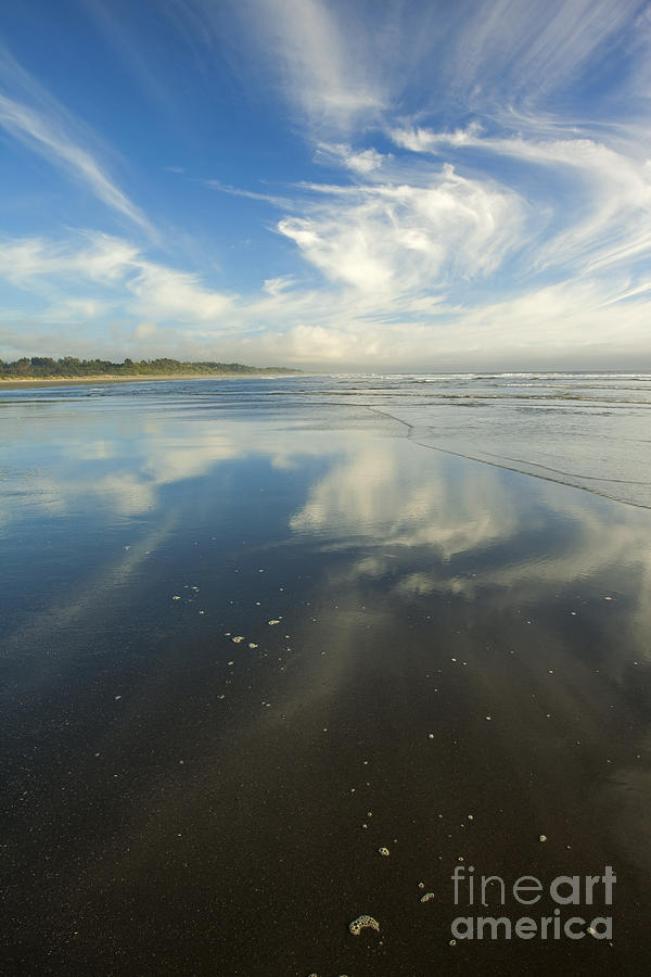 Beach Photograph - Moonstone Beach Reflections by Michael Dawson