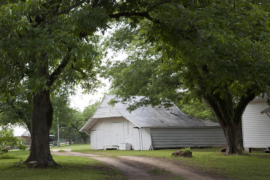 Moore -- Webb -- Holmes Plantation grounds in Folsom Alabama Photograph by Carol M Highsmith