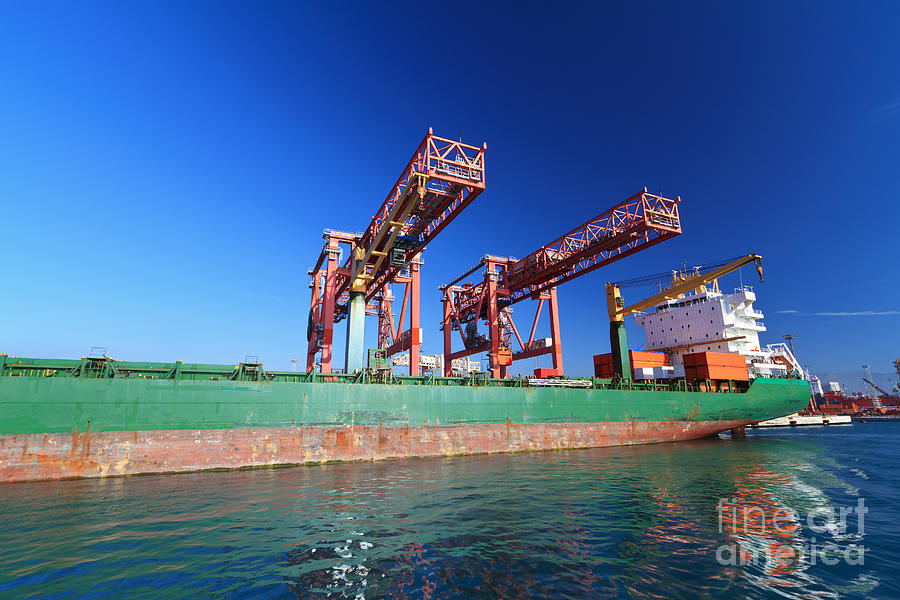 Moored Container Ship Photograph by Antonio Scarpi