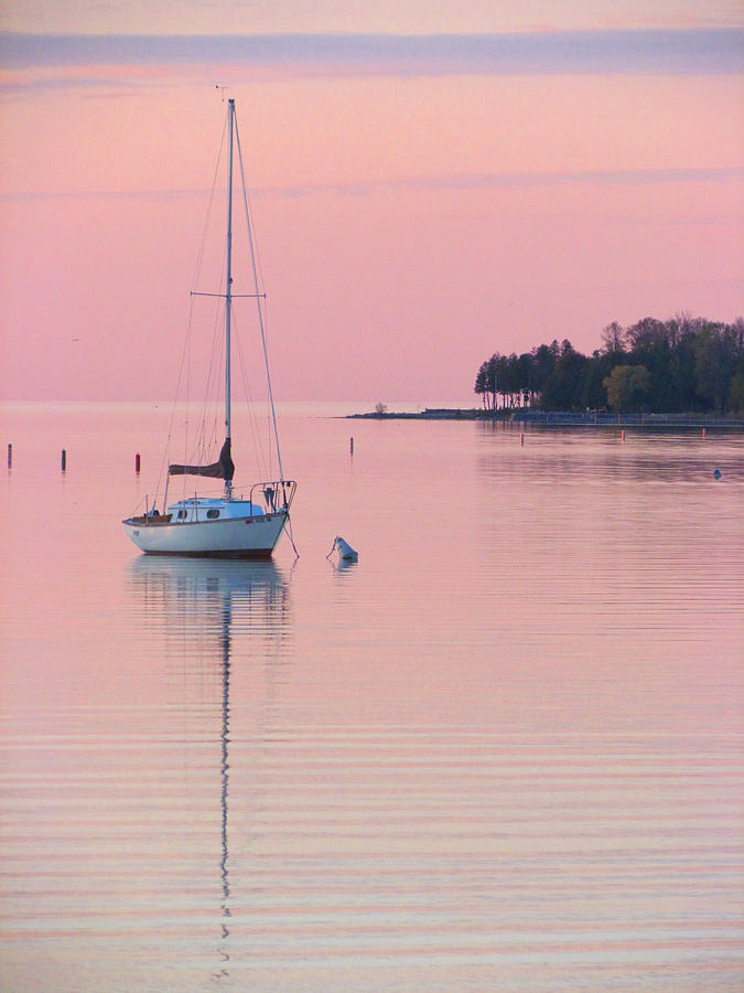 Moored Sailboat in Eagle Harbor Photograph by David T Wilkinson
