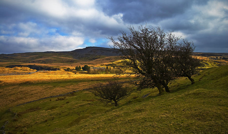 Moorland Path Photograph By Tony Batey Fine Art America