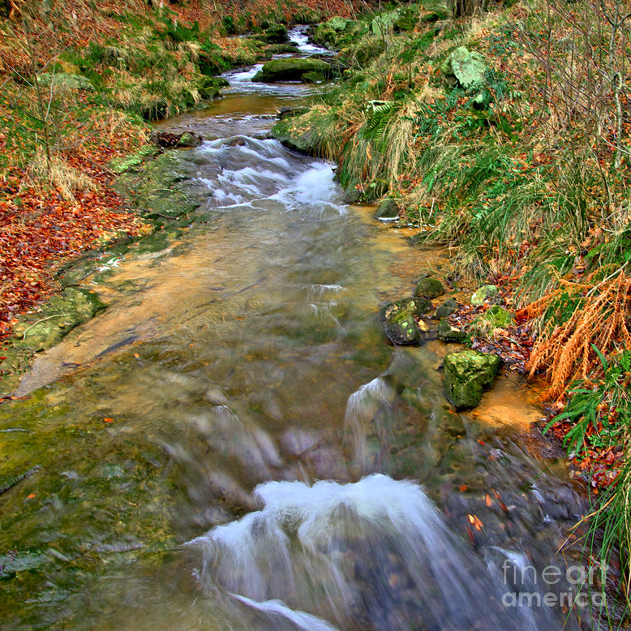 Moorland Stream Photograph by Martyn Arnold