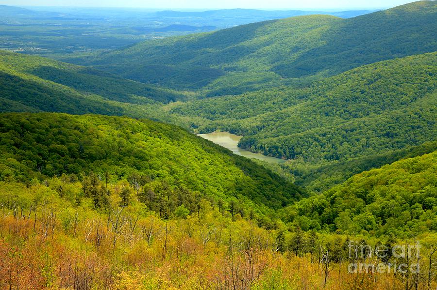 Moormans River Overlook Photograph by Adam Jewell