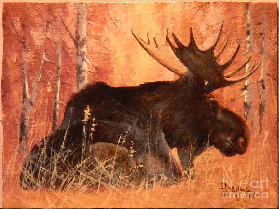 Moose at Rest Painting by Paul K Hill