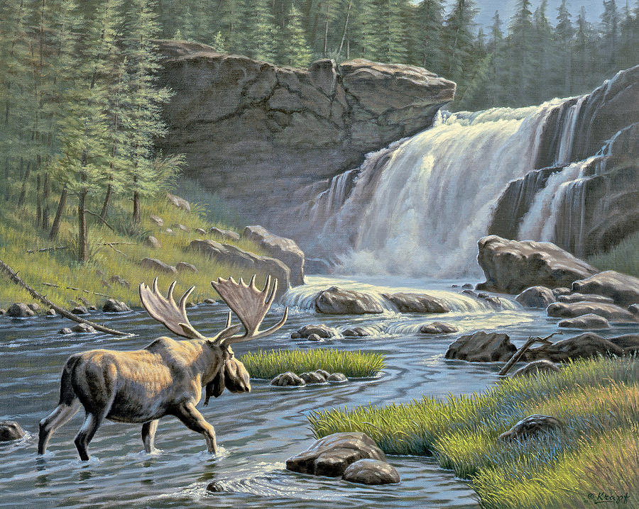 Wildlife Painting - Moose Falls by Paul Krapf