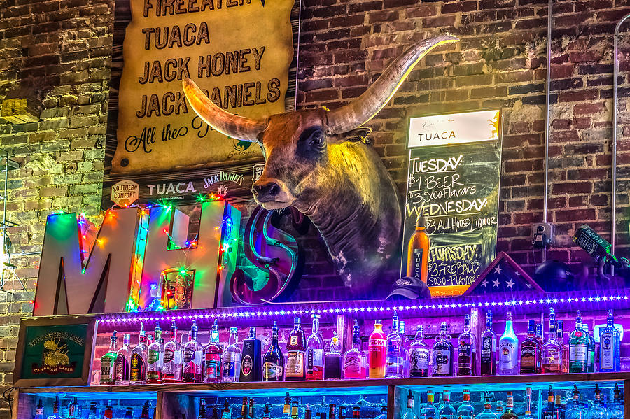 Moose Head Saloon II Photograph by Rob Sellers
