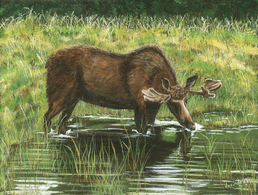 Moose in Alaska Painting by Lucinda VanVleck