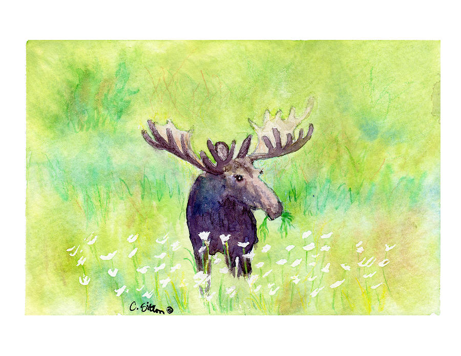 Moose in Flowers Painting by C Sitton