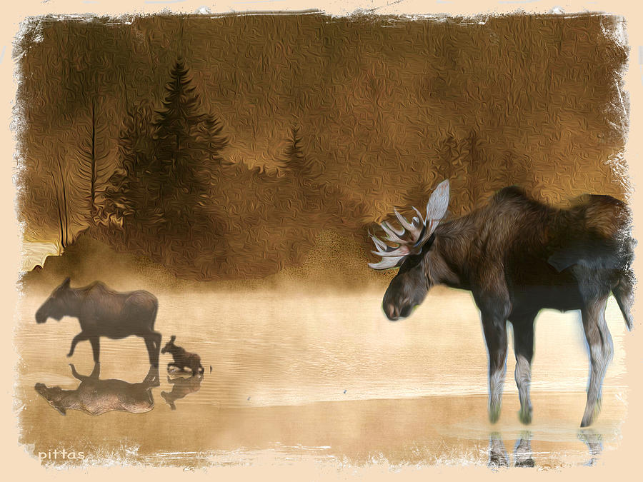 Moose In Mist Painting by Michael Pittas