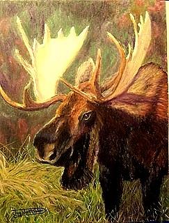 Moose in Sunlight Painting by Jay Johnston