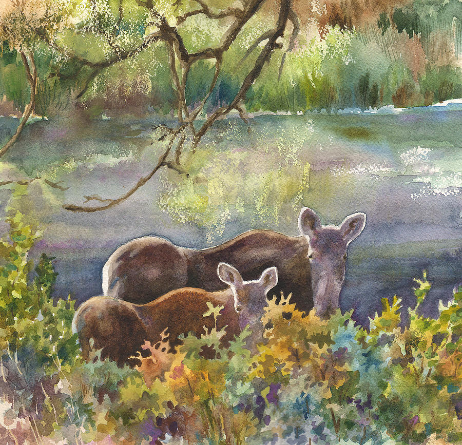 Nederland Painting - Moose in the Morning by Anne Gifford