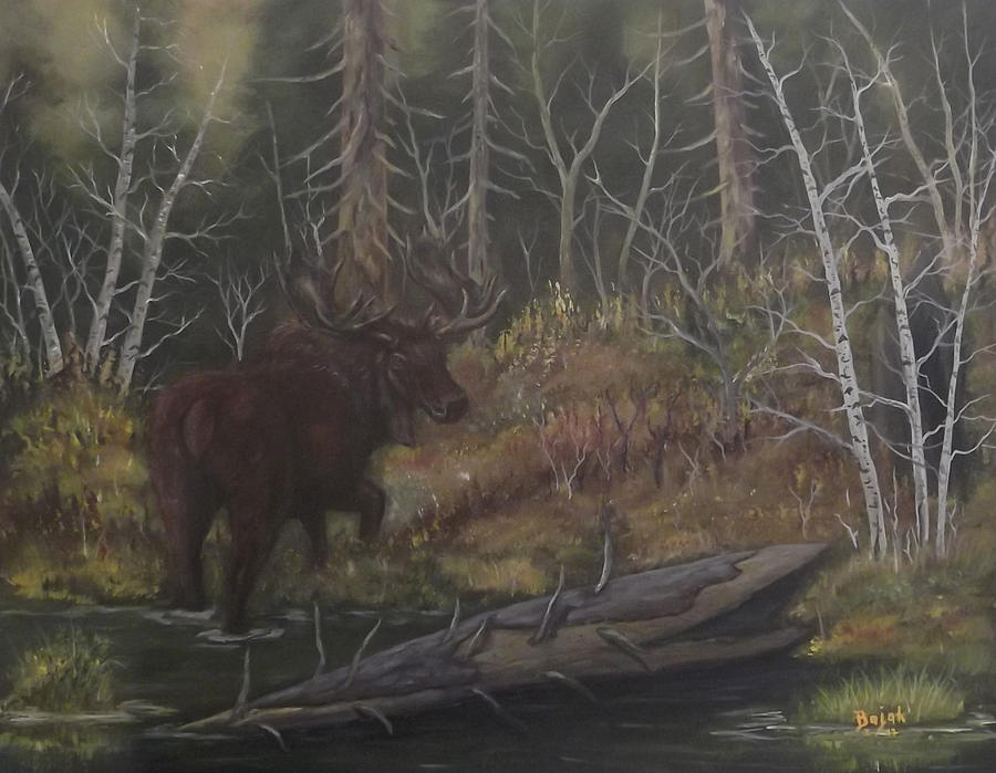 Wildlife Painting - Moose  In The Wood by Rudolph Bajak