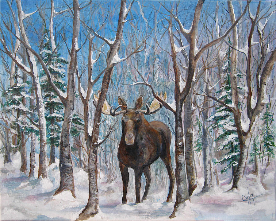 Moose Painting - Moose in winter birches by Karen Copley Moose Painting - Moose in winter birches by Karen Copley