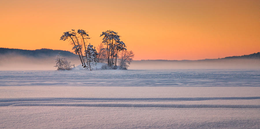 Moose Pond Winter Sunrise Photograph by Darylann Leonard Photography