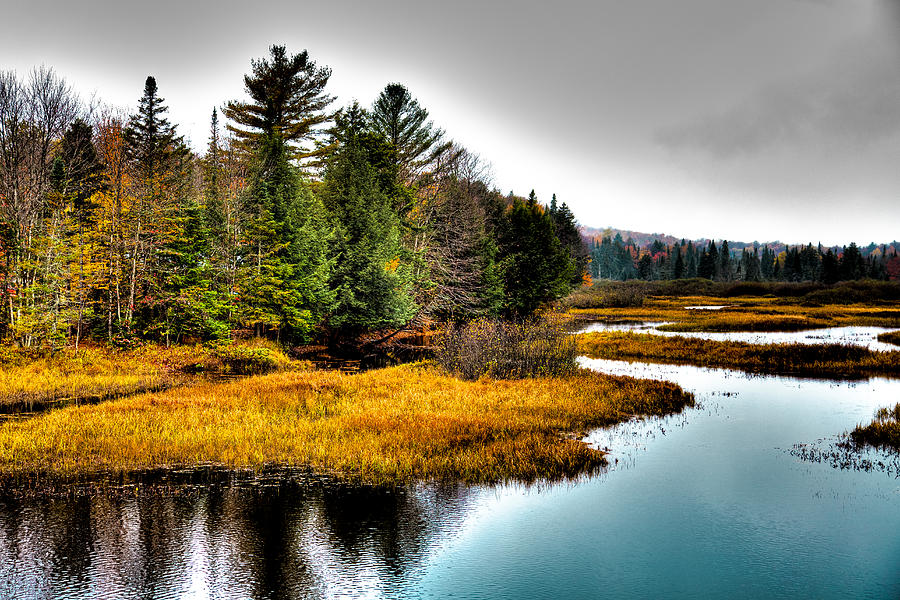 Fall Photograph - Moose River in Old Forge by David Patterson