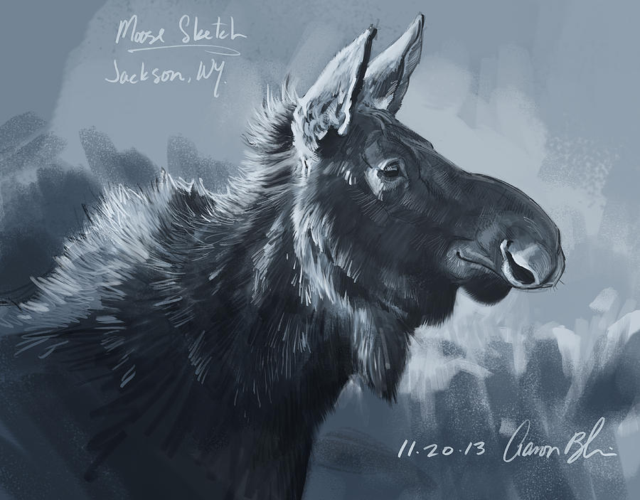 Moose Sketch Digital Art by Aaron Blaise