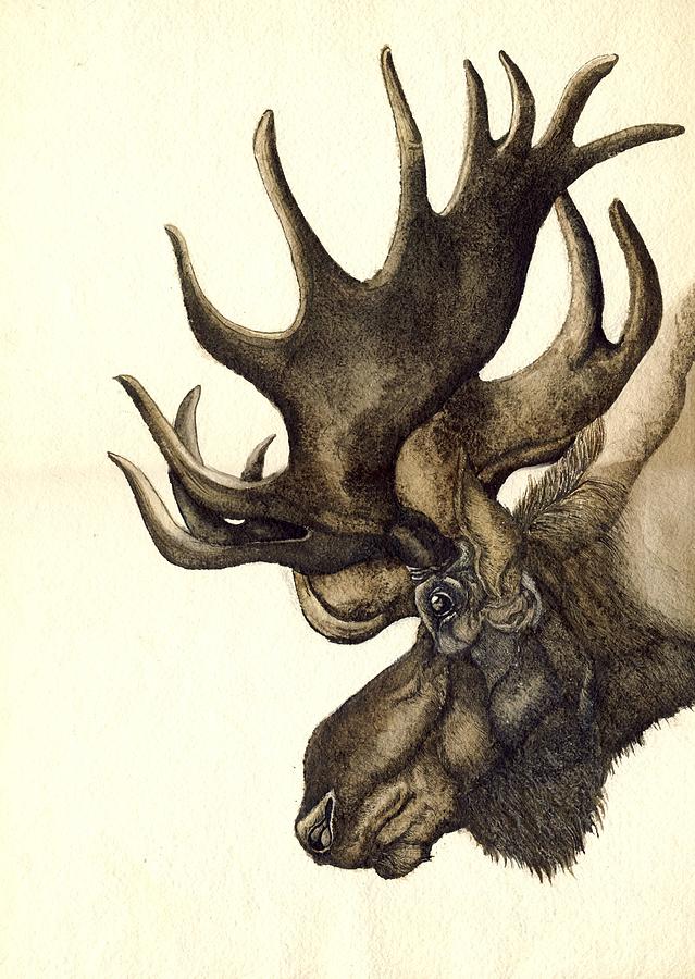Moose Watercolor Painting by Alfred Ng