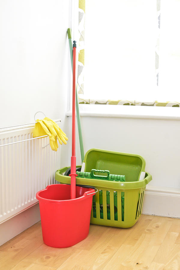 Glove Photograph - Mop and bucket by Tom Gowanlock