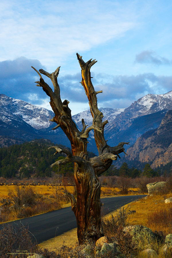 Moraine Park RMNP Photograph by Sean Kreck - Fine Art America