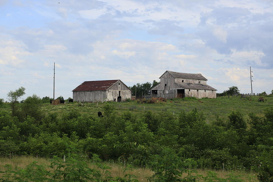 Moravia Barns Photograph by Kathryn Cornett