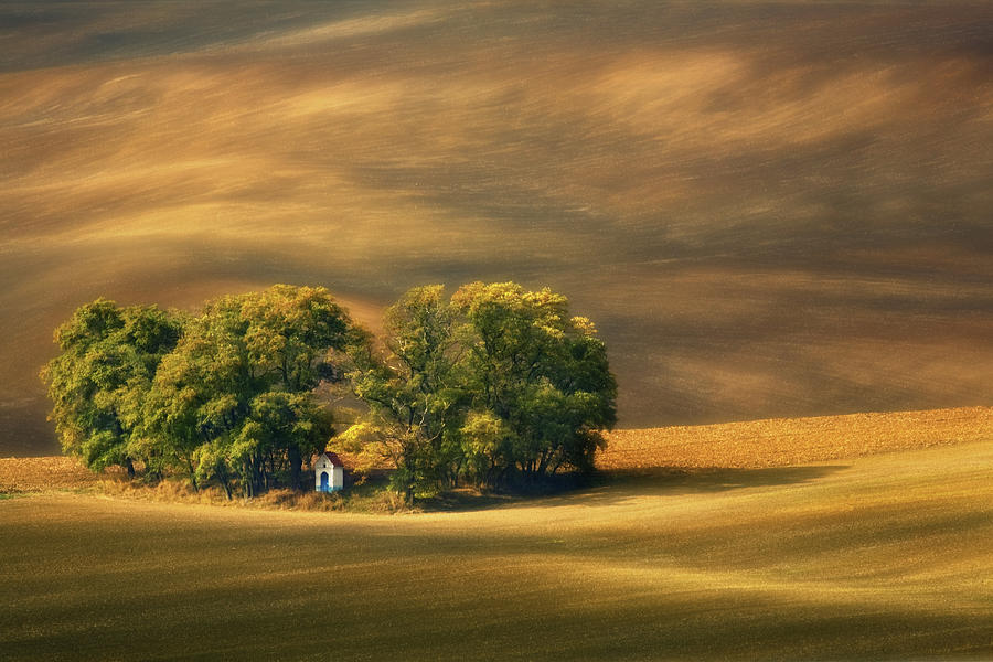 Moravian Fields... Photograph by Krzysztof Browko