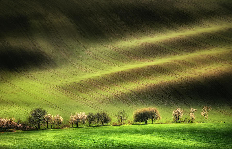 Spring Photograph - Moravian Fields by Piotr Krol (bax)