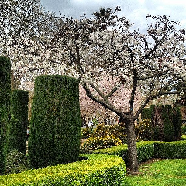 Spring Photograph - More Beautiful Scenery Of #sonoma by Candace Hughes