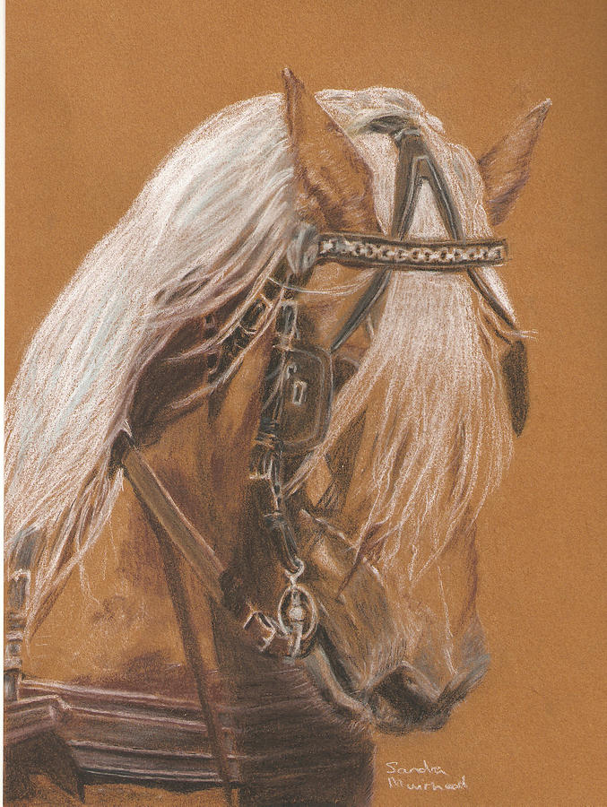 More From Fer A Cheval Pastel by Sandra Muirhead