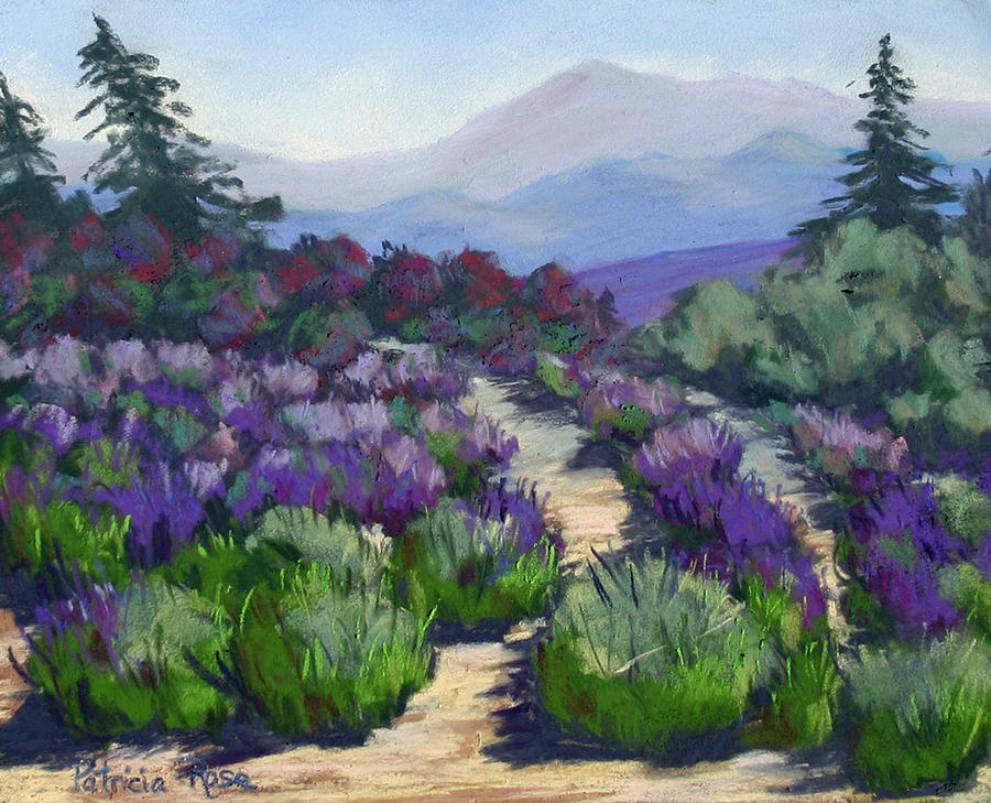 Ca. Pastel - More Lavender by Patricia Rose Ford
