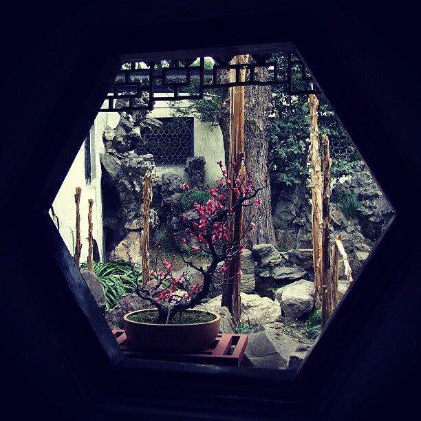 Nature Photograph - More #memories From #china #garden by Lion Campbell