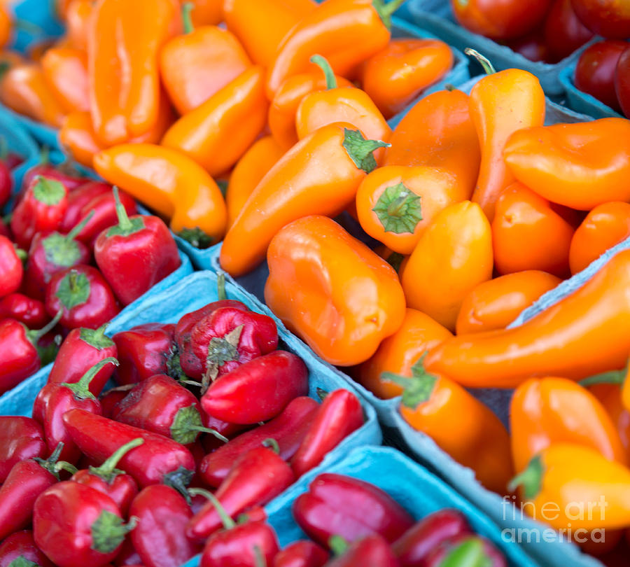 More Red and Orange Peppers Photograph by Rebecca Cozart