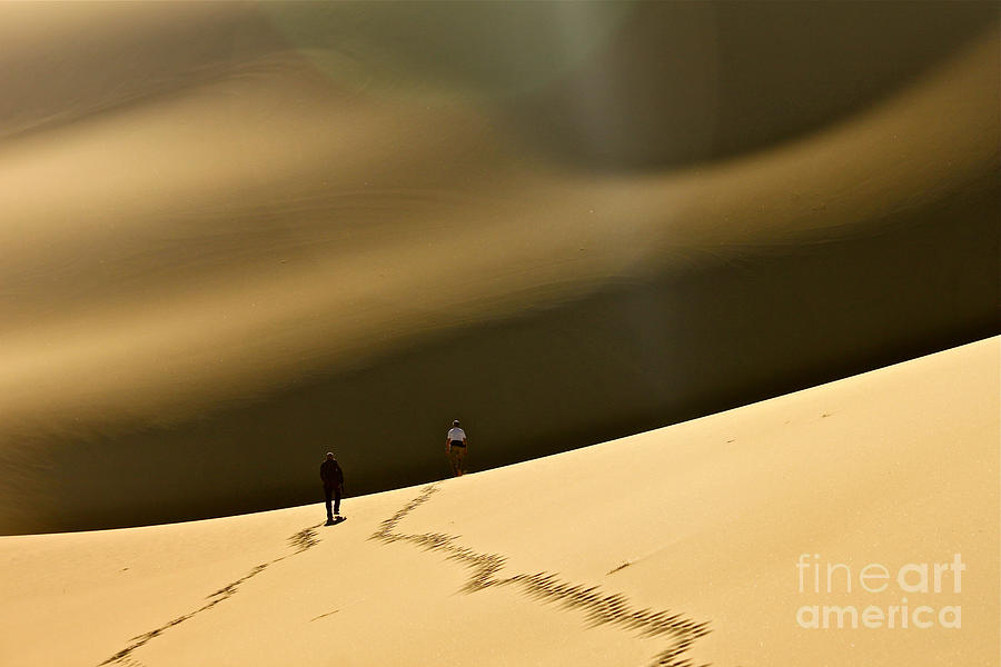 Sand Dune Photograph - More Stars Than Sand by Michael Cinnamond